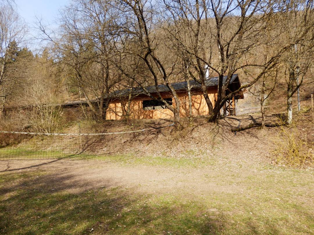 P3181453.jpg